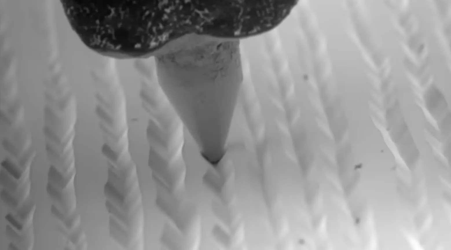 Imagen con microscopio electrónico de un LP de vinilo - Por Applied Science